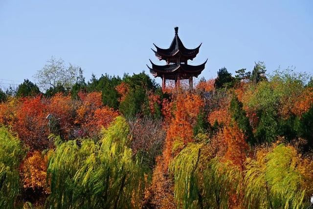 「红叶集」所到之处，无笔成诗，愿你的生活也能如红叶一般丰富