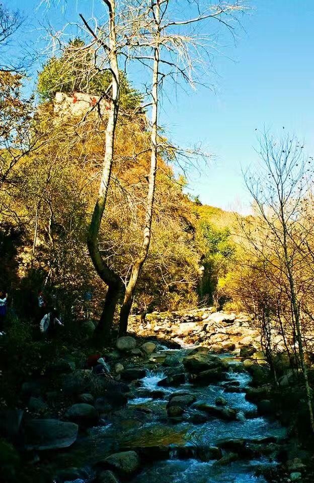 「红叶集」所到之处，无笔成诗，愿你的生活也能如红叶一般丰富