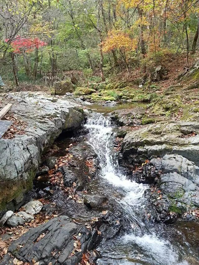 「红叶集」所到之处，无笔成诗，愿你的生活也能如红叶一般丰富