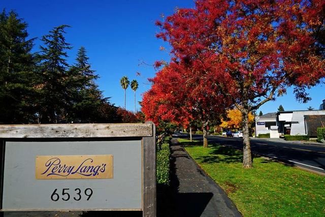 「红叶集」所到之处，无笔成诗，愿你的生活也能如红叶一般丰富