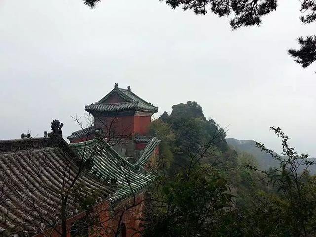 「红叶集」所到之处，无笔成诗，愿你的生活也能如红叶一般丰富