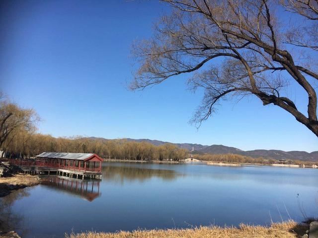 西堤垂柳吐新芽 颐和园里春意浓