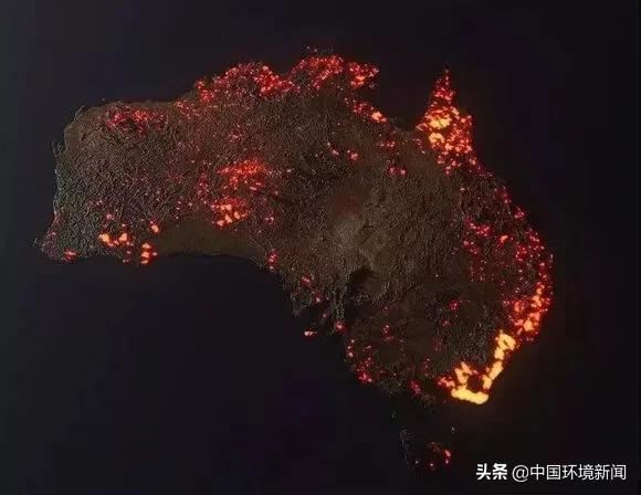 如果没有树木？