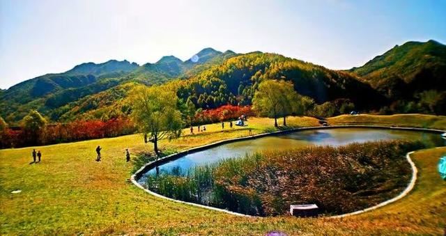 「红叶集」所到之处，无笔成诗，愿你的生活也能如红叶一般丰富