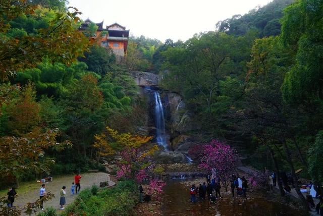 「红叶集」所到之处，无笔成诗，愿你的生活也能如红叶一般丰富