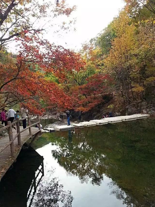 「红叶集」所到之处，无笔成诗，愿你的生活也能如红叶一般丰富