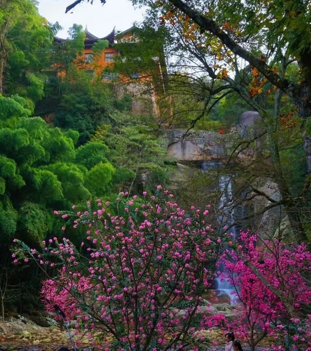 「红叶集」所到之处，无笔成诗，愿你的生活也能如红叶一般丰富