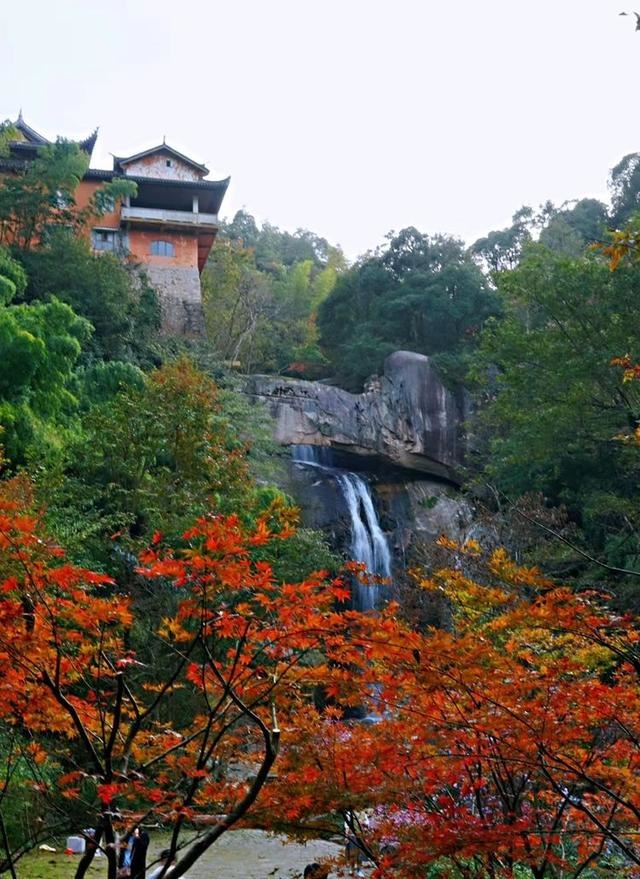 「红叶集」所到之处，无笔成诗，愿你的生活也能如红叶一般丰富