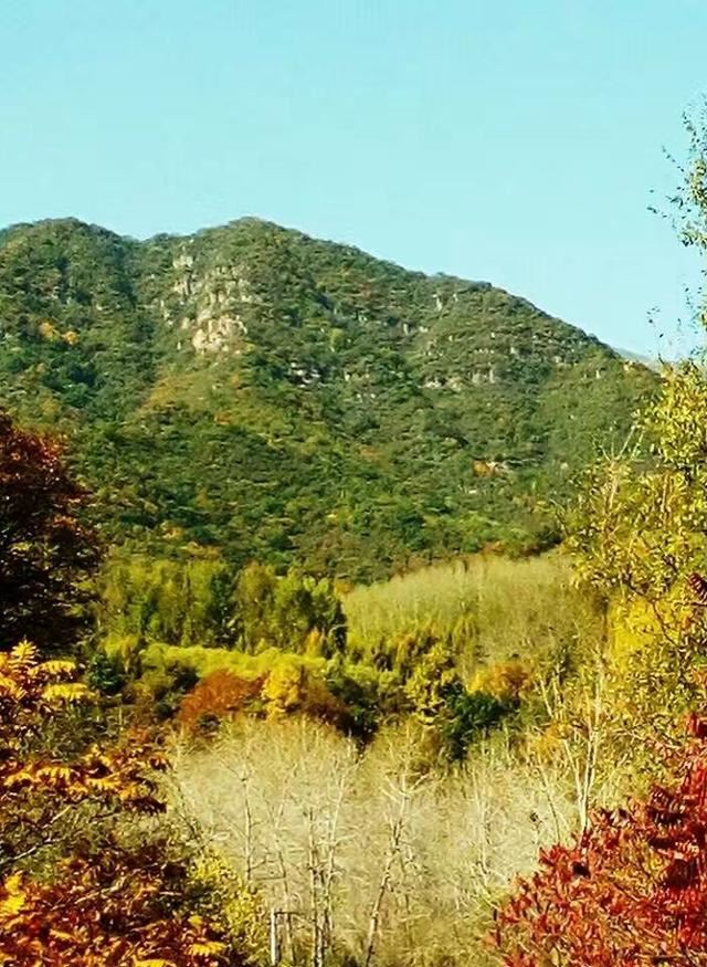 「红叶集」所到之处，无笔成诗，愿你的生活也能如红叶一般丰富