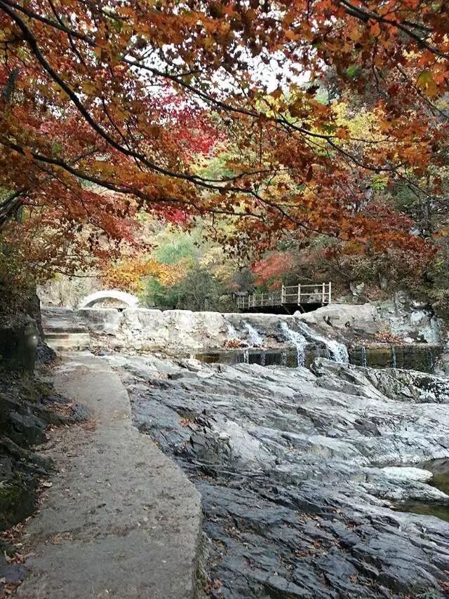 「红叶集」所到之处，无笔成诗，愿你的生活也能如红叶一般丰富