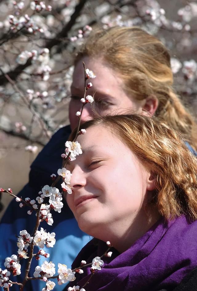 后疫情时代，京城春季最佳赏花“网红”地