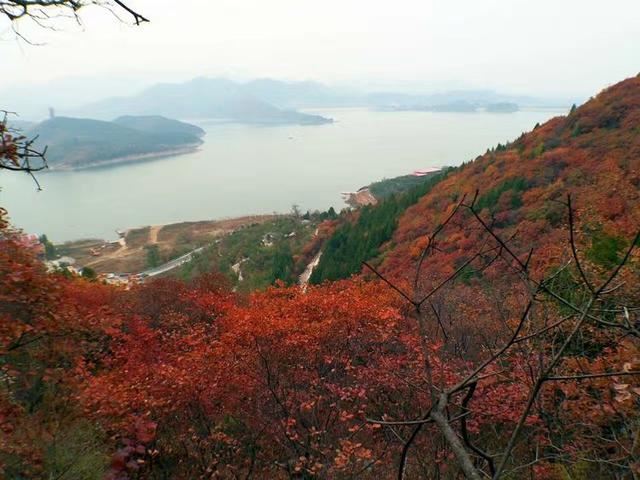 「红叶集」所到之处，无笔成诗，愿你的生活也能如红叶一般丰富