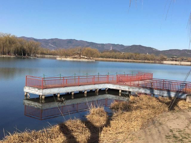 西堤垂柳吐新芽 颐和园里春意浓