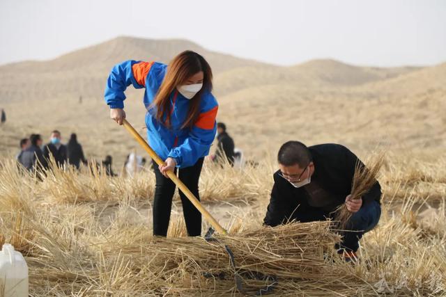 忙趁春光播新绿 ——凉州区开展春季植树造林活动侧记