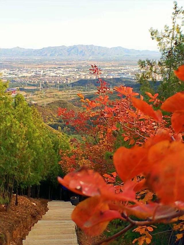 「红叶集」所到之处，无笔成诗，愿你的生活也能如红叶一般丰富