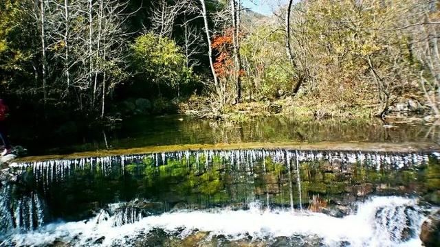 「红叶集」所到之处，无笔成诗，愿你的生活也能如红叶一般丰富