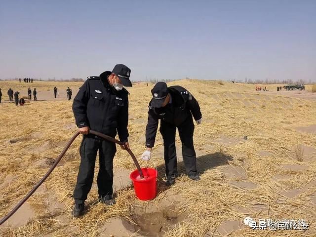植树造林滋沃土，防风固沙护良田