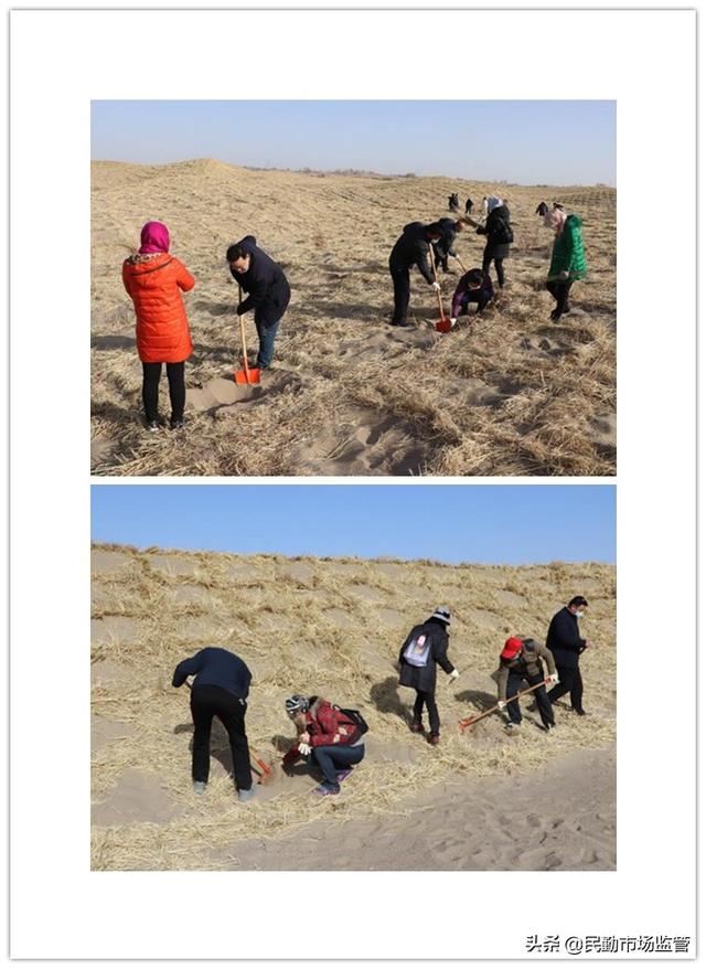 我为大地添绿裳——民勤县市场监管局积极组织党员干部参加义务植树活动
