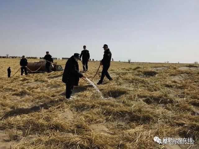 植树造林滋沃土，防风固沙护良田