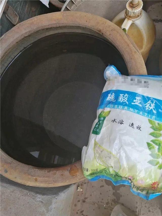 这10种花，年年收空盆，没点经验还真不敢养