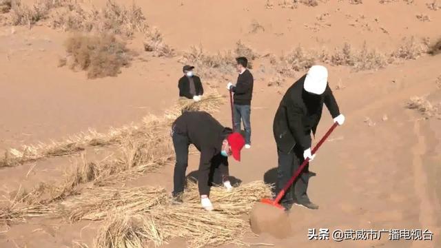 古浪县大力开展国土绿化倍增行动