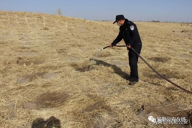 植树造林滋沃土，防风固沙护良田