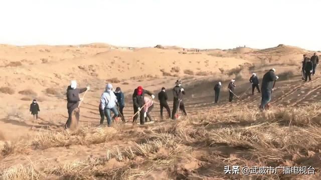 古浪县大力开展国土绿化倍增行动