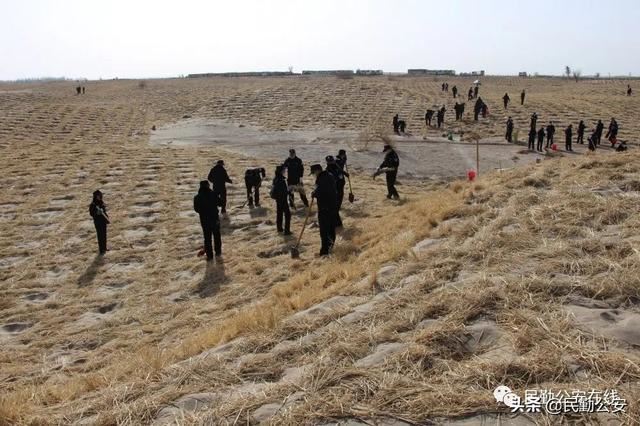 植树造林滋沃土，防风固沙护良田