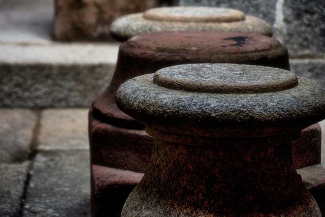 广州这片香雪林隐藏着最古老书院-玉岩书院