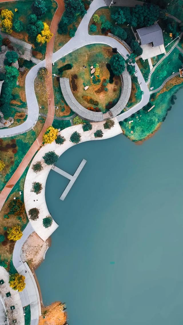 增城，一个被绿植、花海包围的地方！