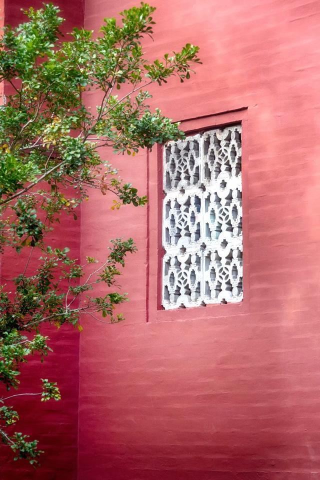 广州这片香雪林隐藏着最古老书院-玉岩书院