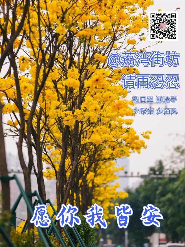 一树黄花，是风动，更是心动——与荔湾春光“云邂逅”
