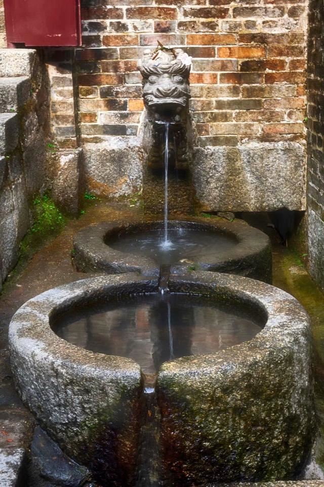 广州这片香雪林隐藏着最古老书院-玉岩书院