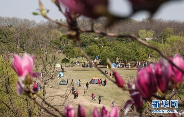 南京:踏青郊野 南京:踏青郊野
