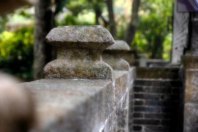 广州这片香雪林隐藏着最古老书院-玉岩书院