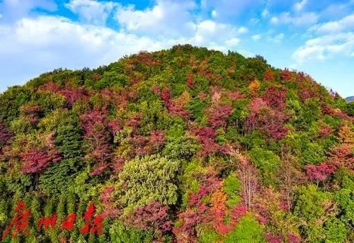 石门国家森林公园有着“广州香山”之称 石门国家森林公园有着“广州香山”之称