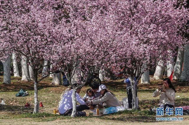 南京:踏青郊野 南京:踏青郊野