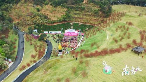 定了！广州从化5条乡村被认定为国家森林乡村