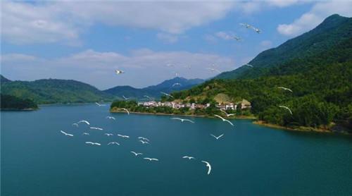 定了！广州从化5条乡村被认定为国家森林乡村