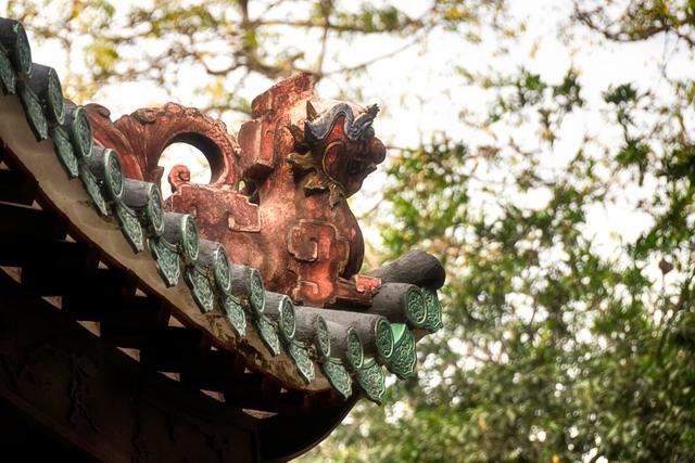 广州这片香雪林隐藏着最古老书院-玉岩书院