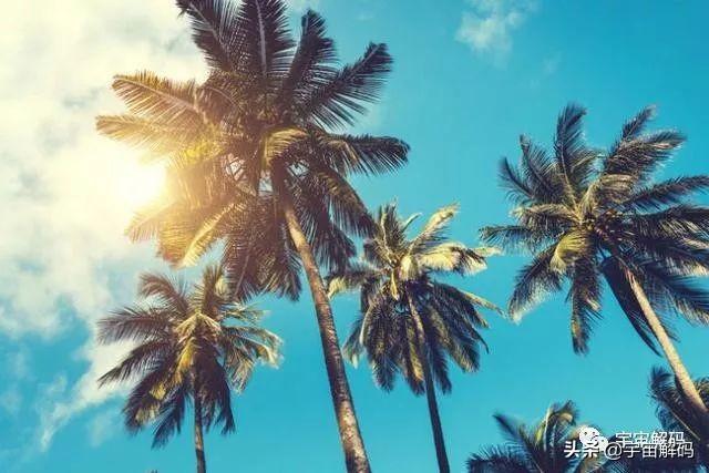 关于树木的13个秘密你知道多少? 关于树木的13个秘密你知道多少?