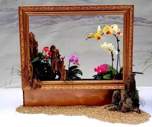 这样搭配花草,美到不要不要的 这样搭配花草,美到不要不要的