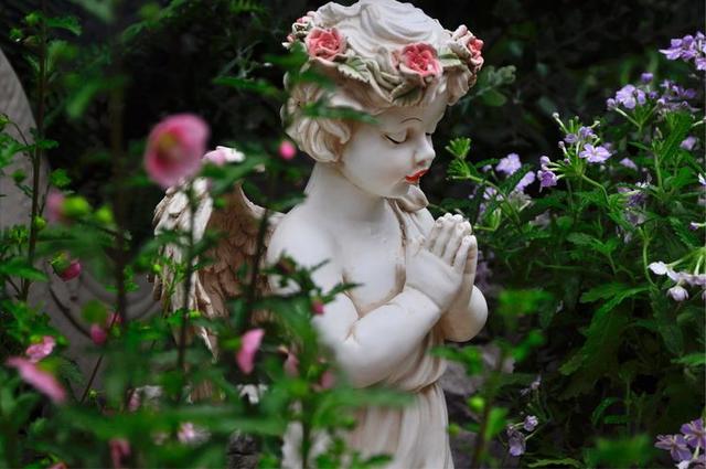 小木槿,装饰花园必备的一款植物,这样养,度夏不难 小木槿,装饰花园必备的一款植物,这样养,度夏不难