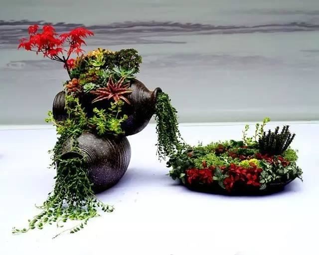 这样搭配花草,美到不要不要的 这样搭配花草,美到不要不要的