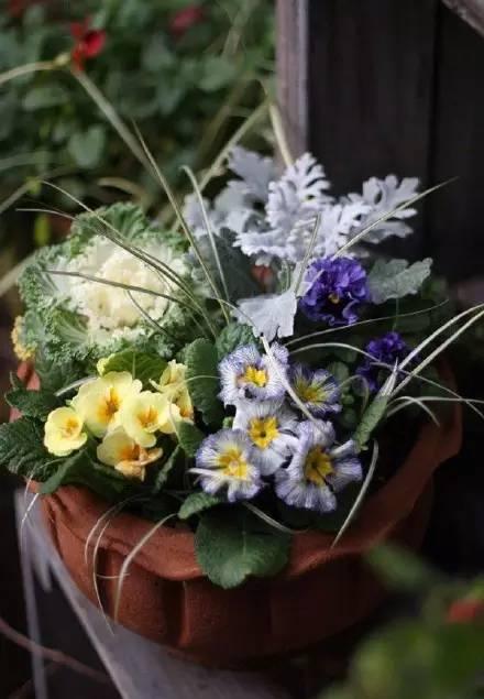 这样搭配花草,美到不要不要的 这样搭配花草,美到不要不要的