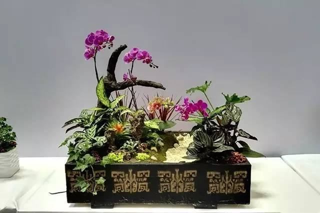 这样搭配花草,美到不要不要的 这样搭配花草,美到不要不要的