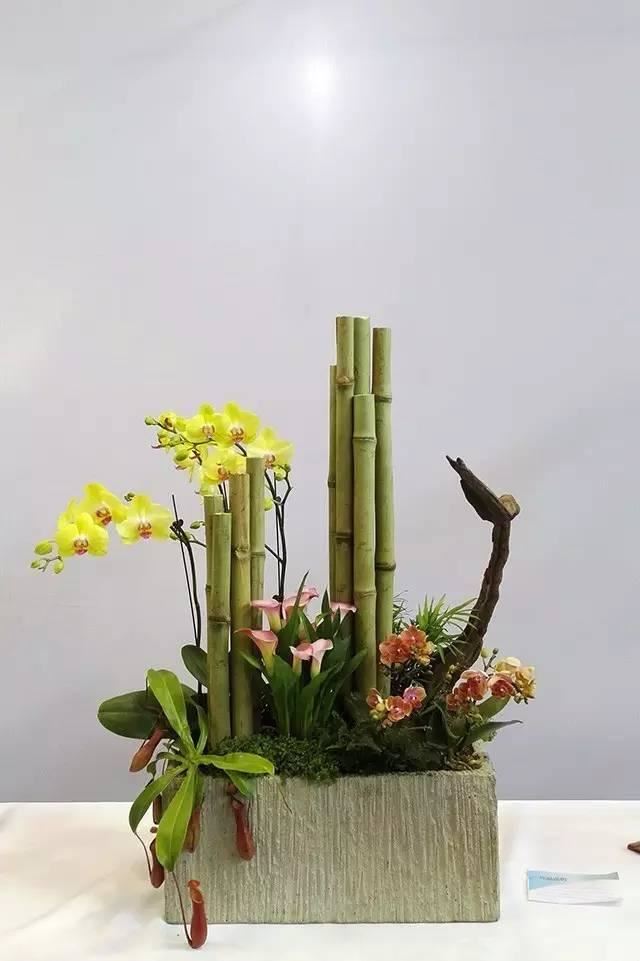 这样搭配花草,美到不要不要的 这样搭配花草,美到不要不要的