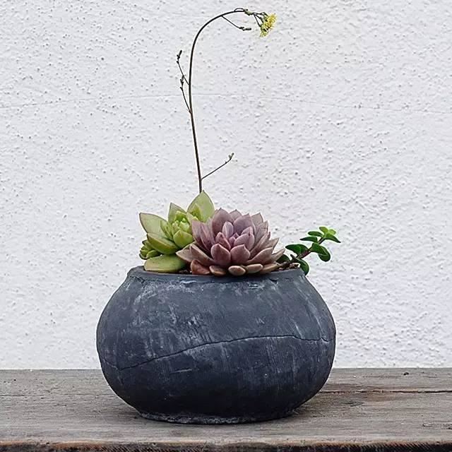 这样搭配花草,美到不要不要的 这样搭配花草,美到不要不要的