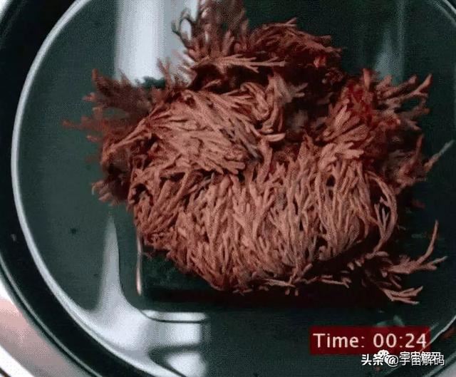 关于树木的13个秘密你知道多少? 关于树木的13个秘密你知道多少?