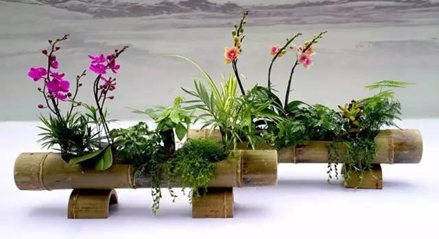 这样搭配花草,美到不要不要的 这样搭配花草,美到不要不要的